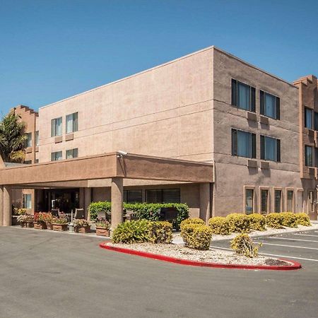 פרימונט Comfort Inn Silicon Valley East מראה חיצוני תמונה