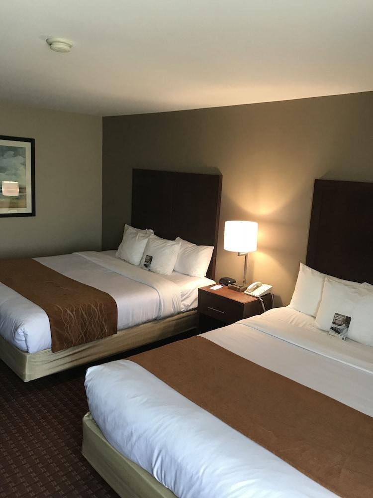 פרימונט Comfort Inn Silicon Valley East מראה חיצוני תמונה