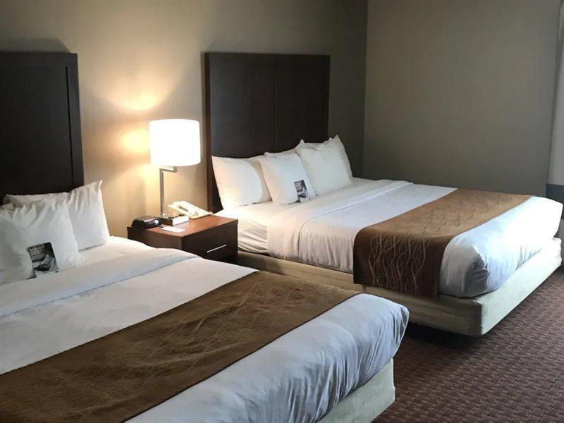 פרימונט Comfort Inn Silicon Valley East מראה חיצוני תמונה