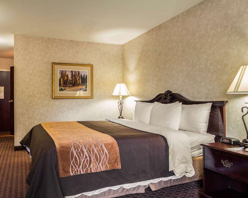 פרימונט Comfort Inn Silicon Valley East חדר תמונה