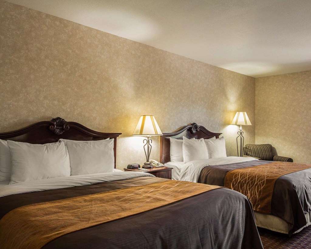 פרימונט Comfort Inn Silicon Valley East חדר תמונה