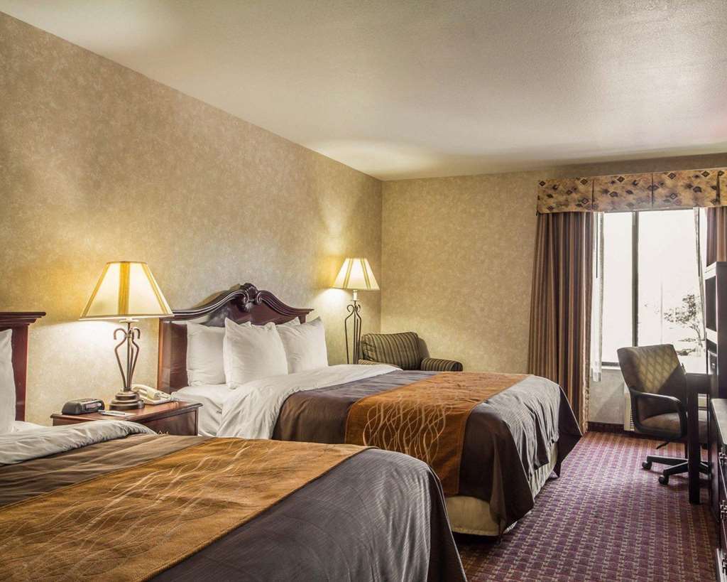 פרימונט Comfort Inn Silicon Valley East חדר תמונה