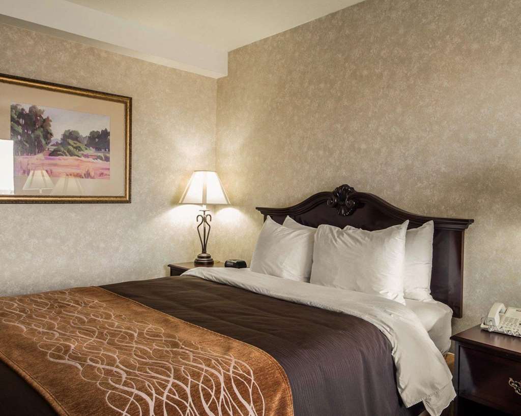 פרימונט Comfort Inn Silicon Valley East חדר תמונה