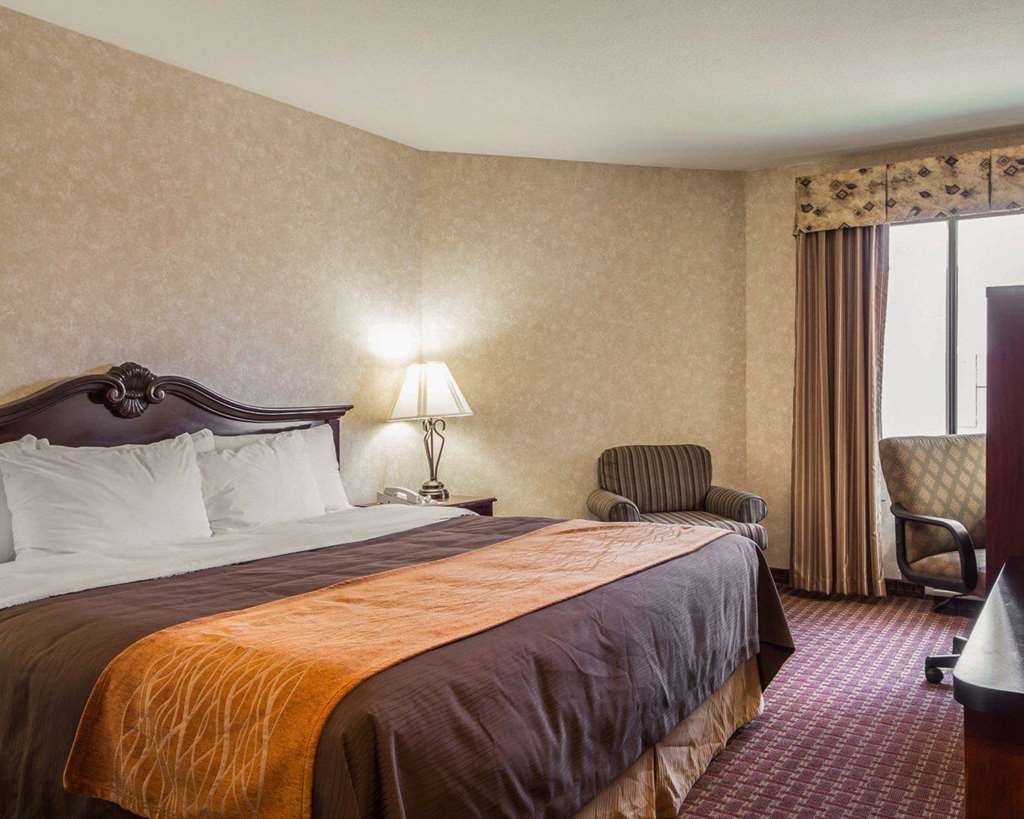 פרימונט Comfort Inn Silicon Valley East חדר תמונה