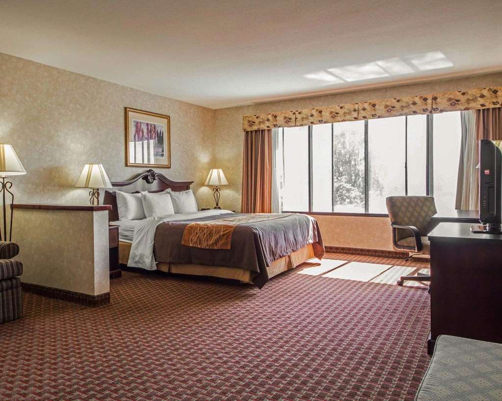 פרימונט Comfort Inn Silicon Valley East חדר תמונה