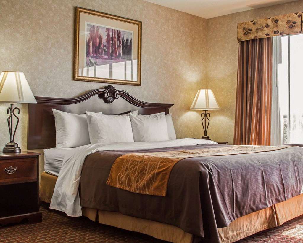פרימונט Comfort Inn Silicon Valley East חדר תמונה