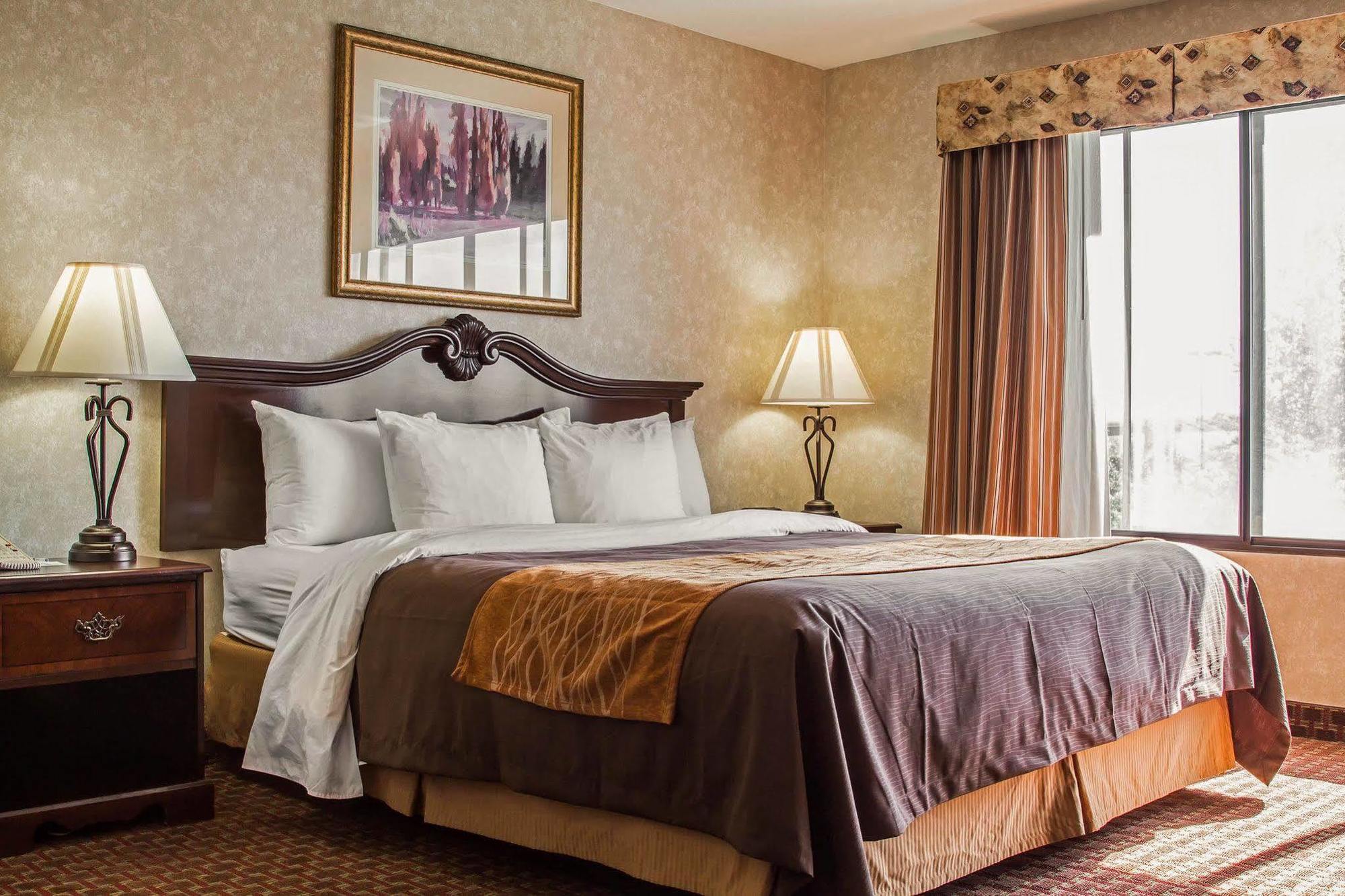 פרימונט Comfort Inn Silicon Valley East מראה חיצוני תמונה