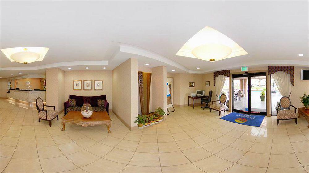 פרימונט Comfort Inn Silicon Valley East מראה חיצוני תמונה